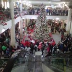 A flashmob engages in a round dance at a Regina mall as part of the "Idle No More" protests.