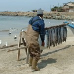 A Chilean fisherman.